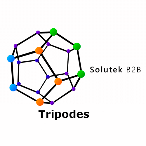 tripodes